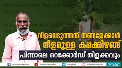 വിളവെടുത്തത് തങ്ങളേക്കാള്‍ നീളമുള്ള കപ്പക്കിഴങ്ങ്; പിന്നാലെ റെക്കോർഡ് തിളക്കവും