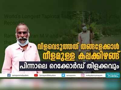 വിളവെടുത്തത് തങ്ങളേക്കാള്‍ നീളമുള്ള കപ്പക്കിഴങ്ങ്; പിന്നാലെ റെക്കോർഡ് തിളക്കവും