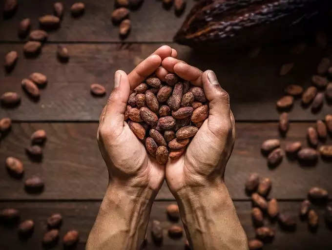 ​ಮುಖ್ಯ ಲೇಖಕರ ಹೇಳಿಕೆಯ ಸಾರಾಂಶ