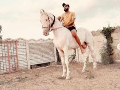 Ravindra Jadeja Shares Pics Of His Horses: सुरक्षित घर पहुंचे CSK के ऑलराउंडर रविंद्र जडेजा, फॉर्महाउस से खास दोस्तों संग शेयर की फोटो