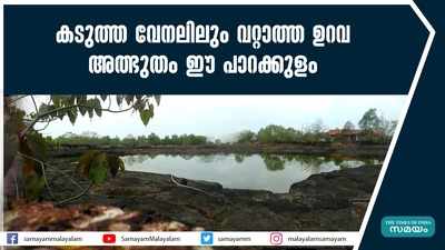 കടുത്ത വേനലിലും വറ്റാത്ത ഉറവ... അത്ഭുതം ഈ പാറക്കുളം