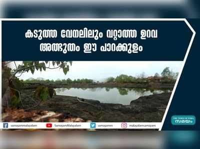 കടുത്ത വേനലിലും വറ്റാത്ത ഉറവ... അത്ഭുതം ഈ പാറക്കുളം