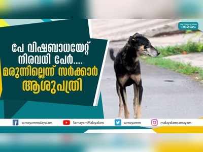 പേ വിഷബാധയേറ്റ് നിരവധി പേര്‍.... മരുന്നില്ലെന്ന് സര്‍ക്കാര്‍ ആശുപത്രി