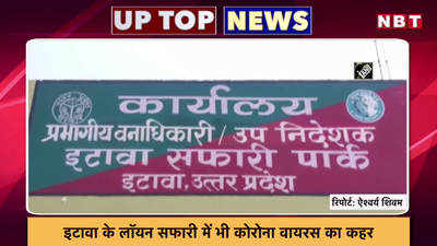 यूपी के शेर भी कोरोना की चपेट में, चंद्रशेखर ने बढ़ाई मायावती की चिंता...प्रदेश की टॉप-5 खबरें