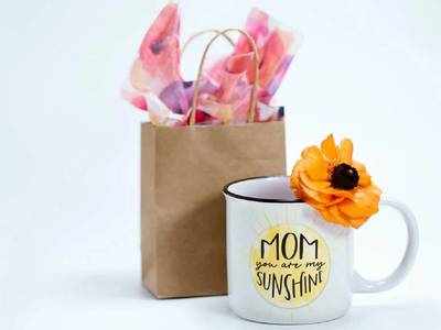 Mothers Day Gift : इस Mother’s Day पर माँ को गिफ्ट करने के लिए बेहतरीन है यह ऑप्शन, कीमत भी है कम