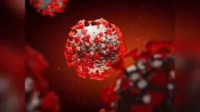 Coronavirus in nagpur : सलग दुसऱ्या दिवशी अर्ध्याहून अधिक बरे