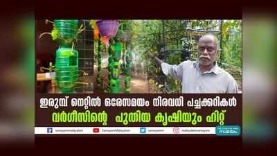 കുപ്പിയില്‍ പുതിനയും മല്ലിയിലയും, ഇരുമ്പ് നെറ്റില്‍ ഒരേസമയം നിരവധി പച്ചക്കറികള്‍, വര്‍ഗീസിന്റെ പുതിയ കൃഷിയും ഹിറ്റ്, വീഡിയോ കാണാം