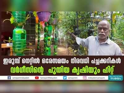 ഇരുമ്പ് നെറ്റില്‍ ഒരേസമയം നിരവധി പച്ചക്കറികള്‍  വര്‍ഗീസിന്‍റെ പുതിയ കൃഷിയും ഹിറ്റ്