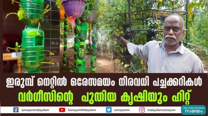 ഇരുമ്പ് നെറ്റില്‍ ഒരേസമയം നിരവധി പച്ചക്കറികള്‍  വര്‍ഗീസിന്‍റെ പുതിയ കൃഷിയും ഹിറ്റ്