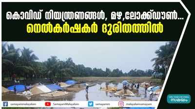 കൊവിഡ് നിയന്ത്രണങ്ങൾ, മഴ,ലോക്ക്ഡൗൺ... നെൽകർഷകർ ദുരിതത്തിൽ