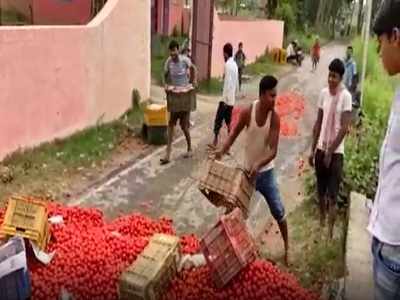 Bihar Lockdown: लॉकडाउन में गिरा सब्जियों का भाव, किसानों ने सड़क पर फेंका दर्जनों कैरेट टमाटर, VIDEO वायरल