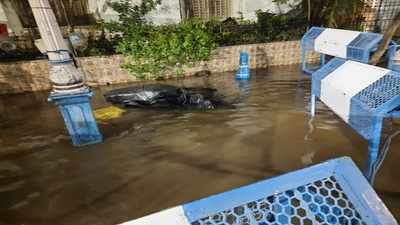 রাজভবনের সামনে বিদ্যুৎস্পৃষ্ট হয়ে মৃত ১