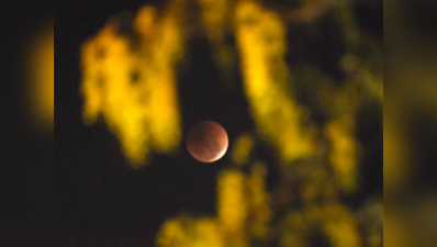 Lunar Eclipse: చంద్రగ్రహణం  రోజు.. ఈ రాశుల వారు జాగ్రత్తగా ఉండాలి