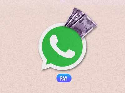 WhatsApp থেকেও মোটা টাকা রোজগার করতে পারেন! কী ভাবে? জানুন