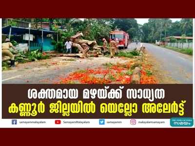 ശക്തമായ മഴയ്ക്ക് സാധ്യത; കണ്ണൂര്‍ ജില്ലയില്‍ യെല്ലോ അലേര്‍ട്ട്, വീഡിയോ കാണാം