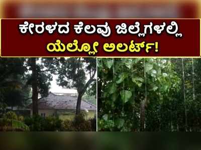 ಕೇರಳದಲ್ಲಿ ಭಾರೀ ಮಳೆ: ಕೆಲವು ಜಿಲ್ಲೆಗಳಲ್ಲಿ ಯೆಲ್ಲೋ ಅಲರ್ಟ್ ಘೋಷಿಸಿದ ಸರ್ಕಾರ!