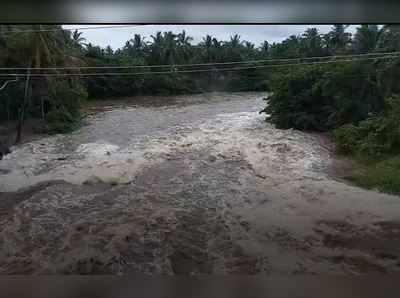 நாட்கணக்கில் தொடரும் கனமழை... நிரம்பி வழியும் குமரி அணைகள்!