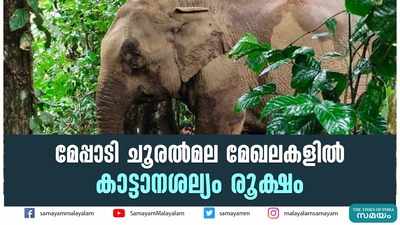 മേപ്പാടി ചൂരല്‍മല മേഖലകളില്‍ കാട്ടാനശല്യം രൂക്ഷം