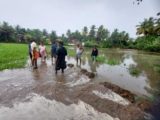 ​ಚಳಿ ಹಿಡಿಸಿದ ತೌಕ್ತೆ