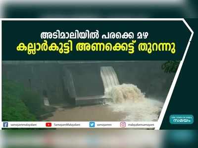 അടിമാലിയിൽ പരക്കെ മഴ; കല്ലാര്‍കുട്ടി അണക്കെട്ട് തുറന്നു