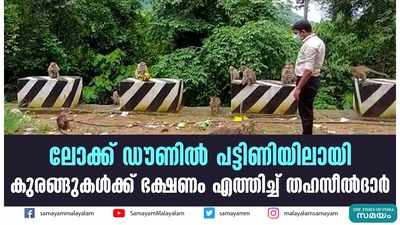 ലോക്ക് ഡൗണില്‍ പട്ടിണിയിലായി; കുരങ്ങുകള്‍ക്ക് ഭക്ഷണം എത്തിച്ച് തഹസീല്‍ദാര്‍