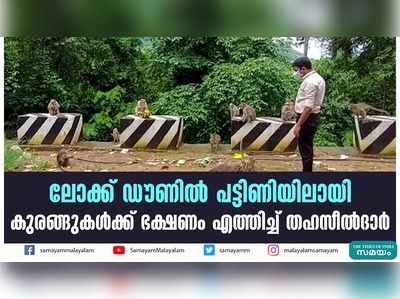 ലോക്ക് ഡൗണില്‍ പട്ടിണിയിലായി; കുരങ്ങുകള്‍ക്ക് ഭക്ഷണം എത്തിച്ച് തഹസീല്‍ദാര്‍