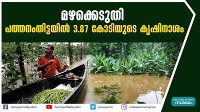 മഴക്കെടുതി; പത്തനംതിട്ടയില്‍ 3.87 കോടിയുടെ കൃഷിനാശം