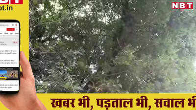 रामपुर में पुलिस की गाड़ी में रखे पर्स को लेकर बंदर चढ़ गया पेड़ पर  