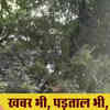 state uttar pradesh others monkey take away purse of policemen and climbs up tree in rampur shahabad 82680030