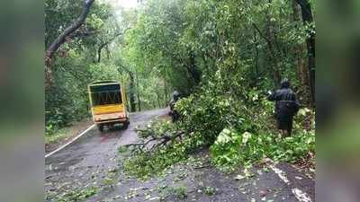 तौक्ते चक्रीवादळ: महावितरण हाय अलर्टवर; केल्या या सूचना