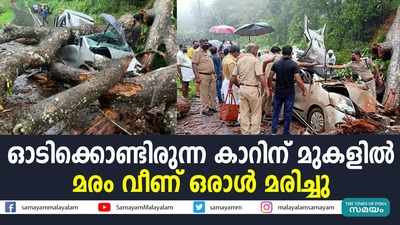 ഓടിക്കൊണ്ടിരുന്ന കാറിന് മുകളിൽ മരം വീണ് ഒരാൾ മരിച്ചു