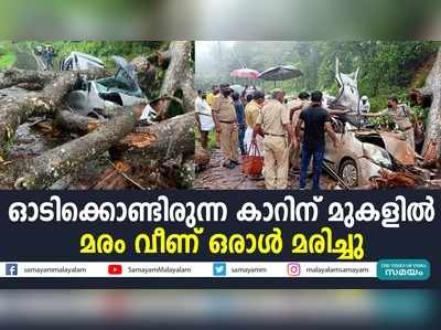 ഓടിക്കൊണ്ടിരുന്ന കാറിന് മുകളിൽ മരം വീണ് ഒരാൾ മരിച്ചു