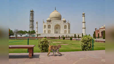 ASI monuments closed : भारतीय पुरातत्व विभाग ने 31 मई तक बंद किए सारे स्मारक, यूपी में ताजमहल समेत 141 इमारतें बंद