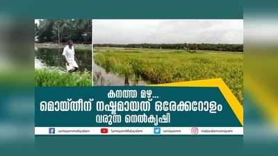 കനത്ത മഴ... മൊയ്തീന് നഷ്ടമായത് ഒരേക്കറോളം വരുന്ന നെല്‍കൃഷി, വീഡിയോ കാണാം