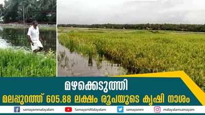 മഴക്കെടുത്തി... മലപ്പുറത്ത് 605.88 ലക്ഷം രൂപയുടെ കൃഷി നാശം