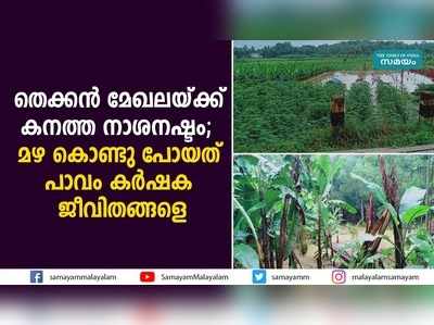 തെക്കൻ മേഖലയ്ക്ക് കനത്ത നാശനഷ്ടം; മഴ കൊണ്ടു പോയത് പാവം കർഷക ജീവിതങ്ങളെ