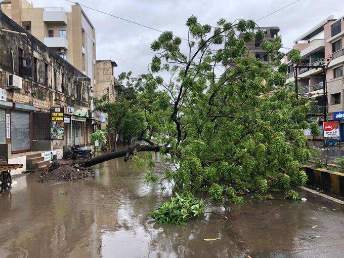 ભાવનગર શહેરમાં વાવાઝોડાની તબાહી