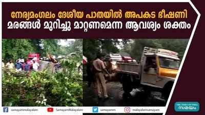 നേര്യമംഗലം ദേശീയ പാതയില്‍ അപകട ഭീഷണി; മരങ്ങള്‍ മുറിച്ചു മാറ്റണമെന്ന ആവശ്യം ശക്തം