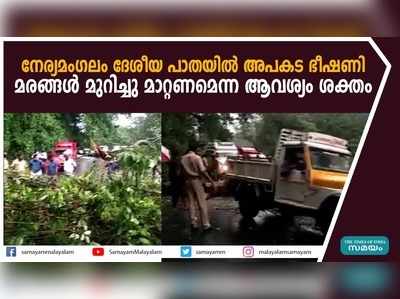 നേര്യമംഗലം ദേശീയ പാതയില്‍ അപകട ഭീഷണി; മരങ്ങള്‍ മുറിച്ചു മാറ്റണമെന്ന ആവശ്യം ശക്തം