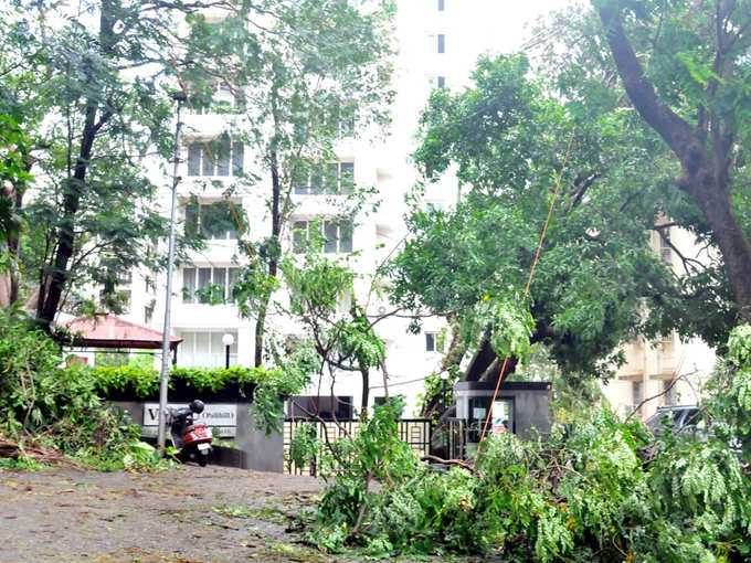 आलिया भट्ट और रणबीर कपूर का घर