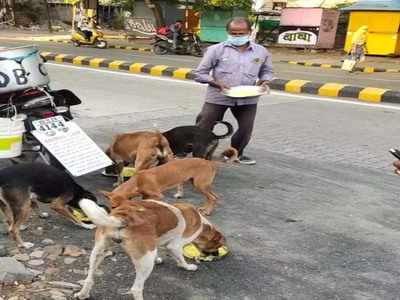 Nagpur News: उन्हें आवारा या कुत्ता कहते अच्छा नहीं लगता...रोज 150 स्ट्रीट डॉग्स को चिकन बिरयानी खिलाते हैं नागपुर के ज्योतिषी