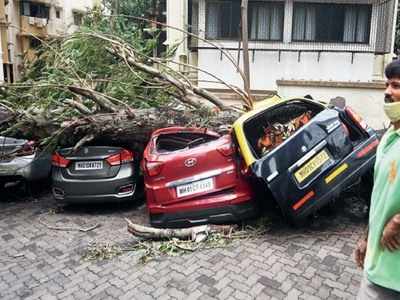 Tauktae in Mumbai: जब पेड़ के नीचे दब गईं 4 कारें...मुंबई में ताउते के कहर का मंजर बयां करती 5 तस्वीरें 
