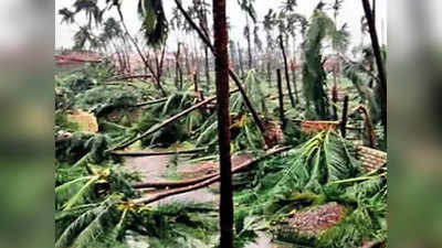 Cyclone Tauktae in Saurashtra: ताउते तूफान का सौराष्ट्र में कहर, 90 फीसदी खड़ी फसल हुई बर्बाद