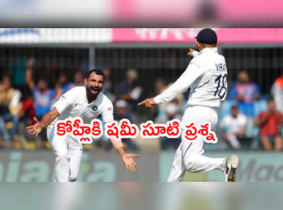 Virat Kohli ఆ వికెట్ నీదా.. నాదా..? మహ్మద్ షమీ సూటి ప్రశ్న