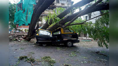 Cyclone Tauktae In Gujarat: गुजरात में चक्रवात ताउते के चलते 45 लोगों की मौत, सौराष्ट्र सबसे ज्यादा प्रभावित