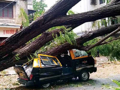 तूफान से तबाही