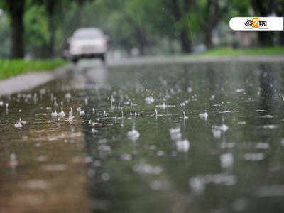 দুপুরেই নামবে বৃষ্টি? জানিয়ে দিল আলিপুর...