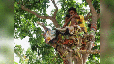 Telangana News: तेलंगाना के इस आदिवासी गांव में युवक हुआ कोरोना पॉजिटिव तो पेड़ के ऊपर बनाया आइसोलेशन बेड, ऐसे गुजारे 11 दिन