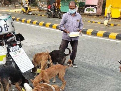 Nagpur news: 11 सालों से रोज 190 से ज्यादा कुत्तों को चिकन बिरयानी खिलाते हैं नागपुर के यह शख्स