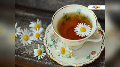 International Tea Day 2021: সুস্থ থাকতে কোন সমস্যায় কোন চা খাবেন? জানুন..